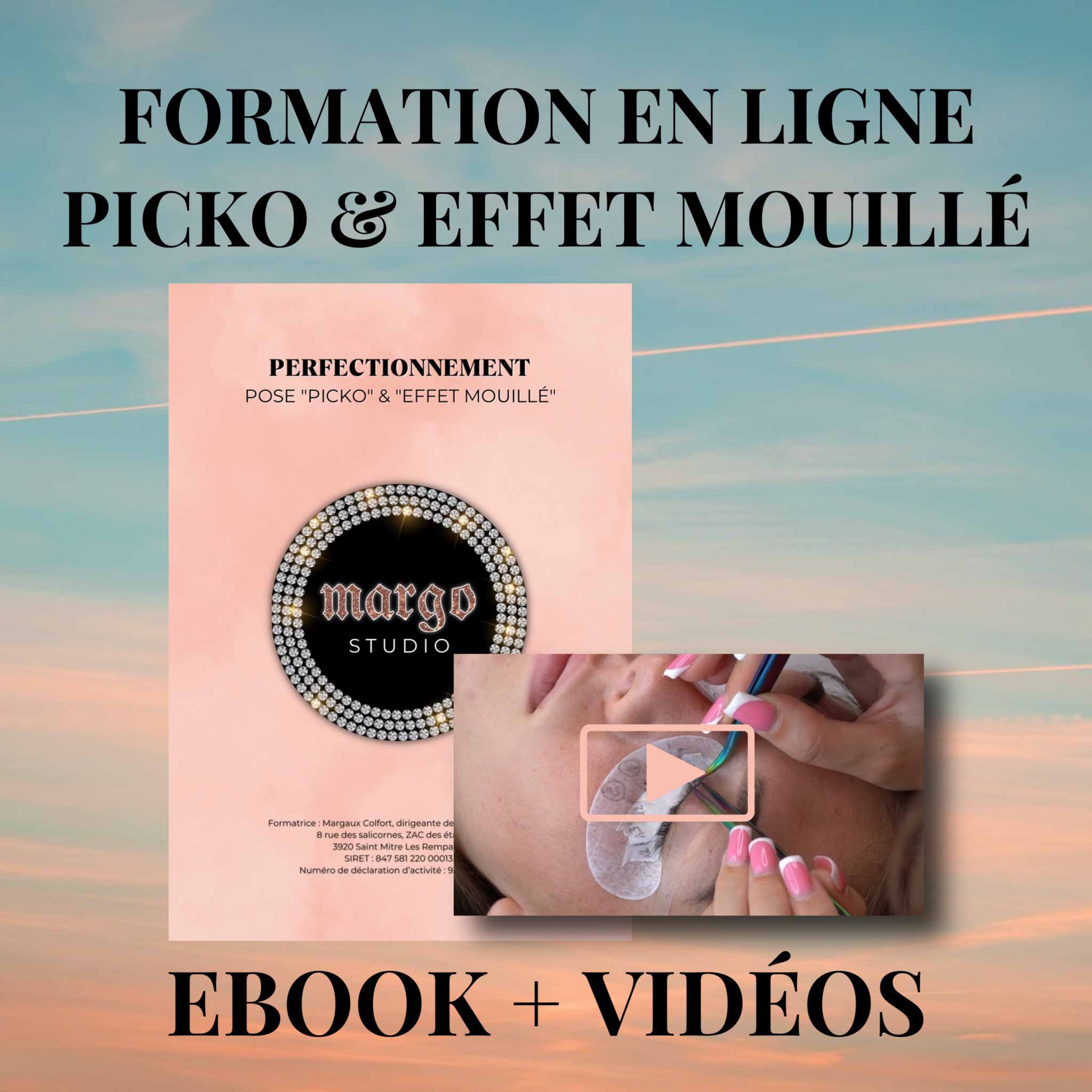 Ebook Pose Picko et Effet Mouillé